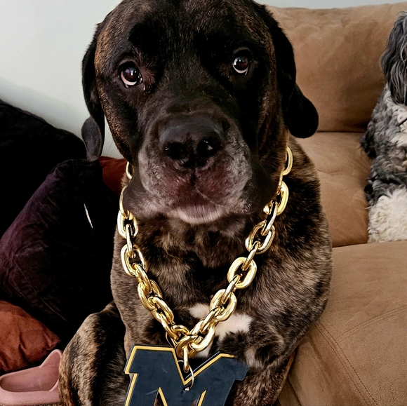 Meet your Posher, Andrew - Picture 1 of 1